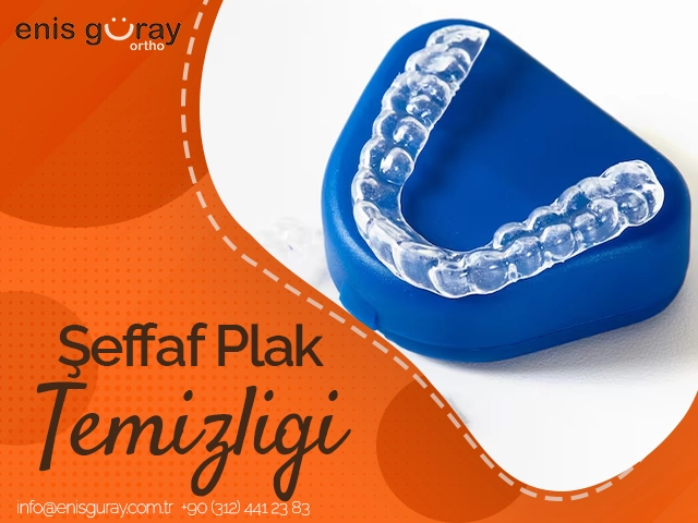 Şeffaf Plak Temizliği